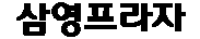 삼영프라자